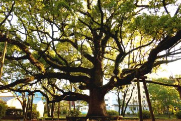 Tokushima Central Park
