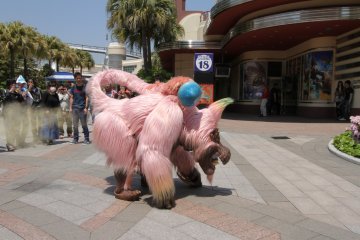 <p>Experience the infamous Congalala fart in real life!</p>