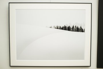 <p>One of my favourite photos of the photography exhibition.</p>