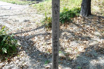<p>The 6th Baracke (barrack) site. Some of the brick bases still remain in these barrack sites</p>