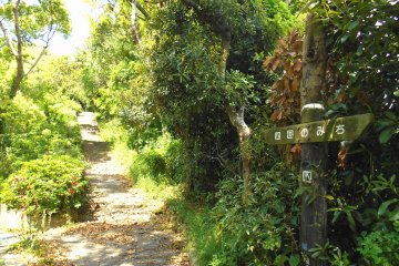 <p>Path leading to the German Soldiers' Memorial Monument</p>