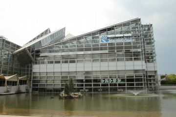 <p>The green-house</p>