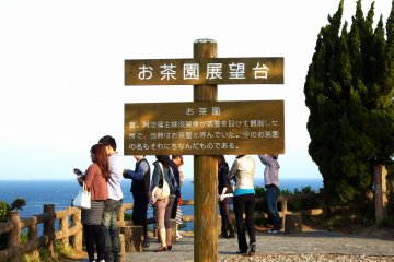 <p>'Tea Garden' Observation Platform &nbsp;</p>