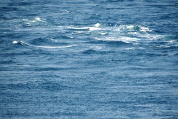<p>Although it was in the late afternoon I found a small whirlpool! &nbsp;</p>