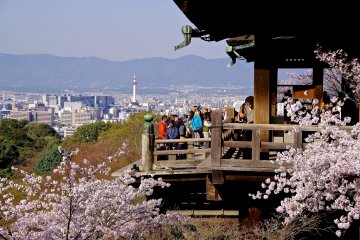 <p>People enjoying the view from the platform</p>