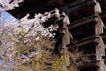 <p>Looking up at the platform from the ground</p>