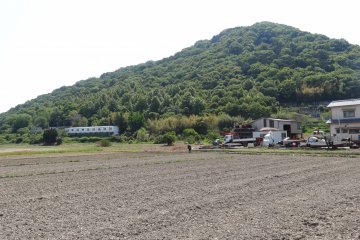 <p>When I was there (end of May), the rice paddies were empty. The farmers were just finishing plowing the soil. In the summer months the rice paddies will be filled with green rice plants that will add beauty and color to the surrounding.</p>