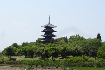 <p>The beautiful Bitchu-Kokubunji temple and its pagoda</p>