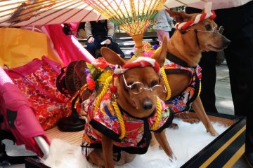 <p>Everyone is in a festive mood on event day.&nbsp;</p>