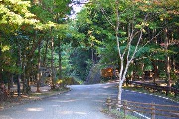 Old Kumano Road: Iseji Route