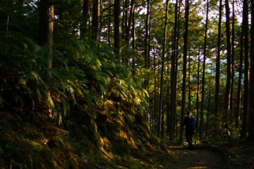 Most of the route is surrounded by ancient trees, mountains and wilderness.