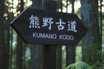 Unspoiled nature like this is becoming rare in modern day Japan.