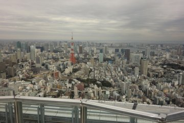 View of Tokyo Tower from the Mori Building in Roppongi Hills
