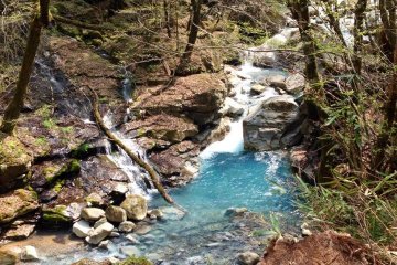 <p>The turquoise waters of the "dead" Sukan River</p>