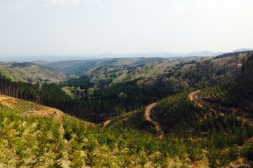 <p>View looking out over Yaita&nbsp;on the drive back down</p>