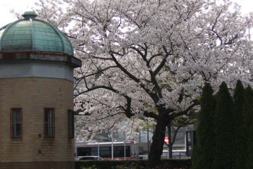 Verny Park