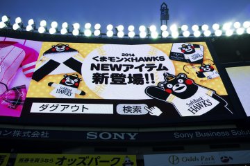 <p>SoftBank Hawks!</p>