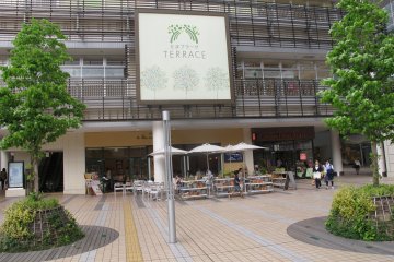 <p>The terrace</p>