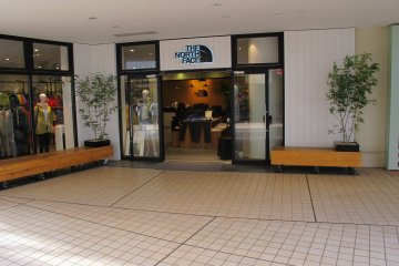 <p>The North Face</p>