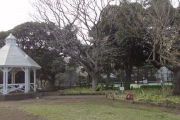<p>The arbor today.</p>