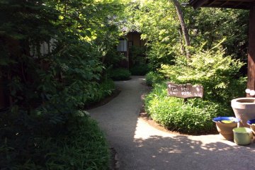 Walk past the manicured&nbsp;garden on the way to the&nbsp;"momiji" or maple bath.