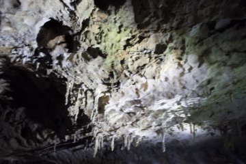 <p>Icicle-like formations hanging from the ceiling.</p>