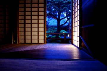 Light-up, Shoren-in Temple