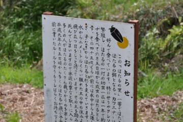 Firefly Hotel