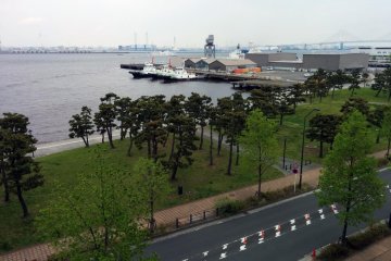 <p>A view of the museum's park (which contains no noodle reference) from the outside deck.&nbsp;</p>