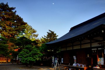 <p>Shrine office, trees on the grounds and the moon in the sky</p>