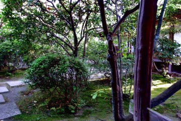 <p>...but when it's forbidden, you want to peek in, don't you?</p>