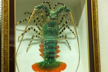 One of the inexplicable exhibits