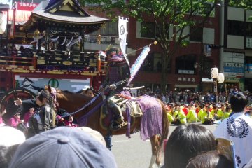 <p>The parade route had crowds several people deep, but this samurai on horseback was easy to spot.</p>