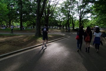 <p>Nohara by Mizuno has everything you need to make Yoyogi Park your personal running center</p>