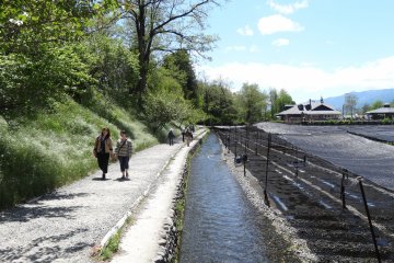 <p>One of the paths</p>