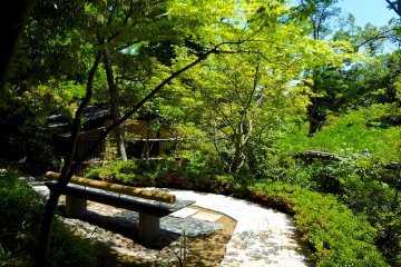 <p>Comfortable bench and small path in the garden</p>