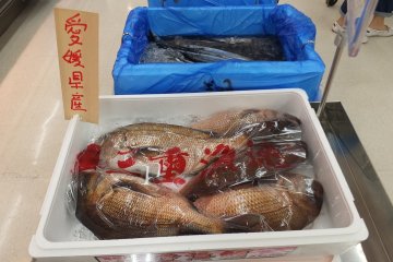 <p>ปลาสดๆ</p>