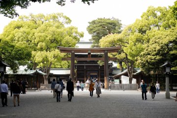 <p>Meiji Shrine entrance near&nbsp;Yoyogi&nbsp;Park in Harajuku, Tokyo&nbsp;</p>