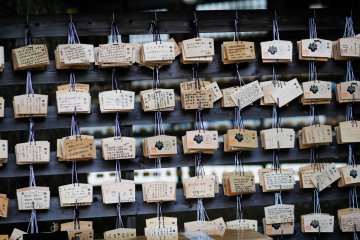 <p>A selection of individual&nbsp;prayers or wishes</p>