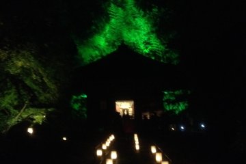 A view of the walkway in the garden.
