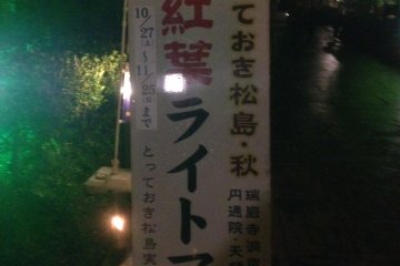 Signboard for the 2012 Light Up.