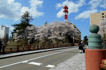 <p>Jembatan utama kastil Fukui, 'Gohonjo-bashi'</p>