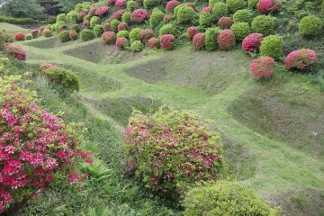 <p>The mounds, trenches and walls are still as they were</p>
