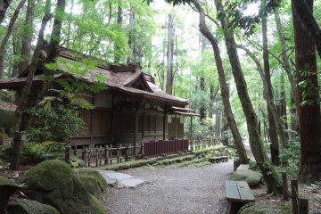 <p>Temple garden</p>