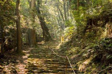 <p>The trail to the top of Mt. Kasatori part of the Kami-Daigo experience, sometimes there are steps and sometimes it's just small rocks. Above all it's steep!</p>