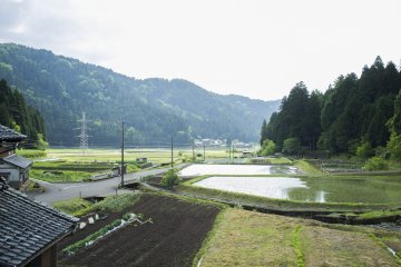 <p>View of the countryside from Mr and Mrs Kato's guesthouse</p>