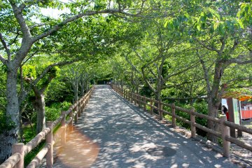 <p>One of the many hiking paths at Shiroyama Park; they can get pretty steep at times, so be sure to dress appropriately and wear comfortable shoes.</p>