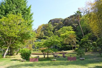 <p>Inside the Peacock Aviary are beautifully manicured gardens you can admire. In addition to the peacocks, you can also find pigeons, a parrot, and a monkey.</p>