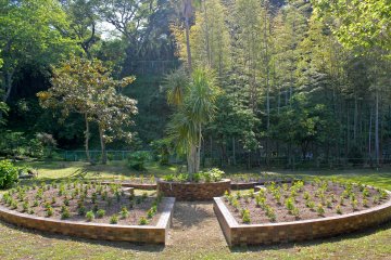 <p>Beautifully manicured garden inside the peacock aviary</p>
