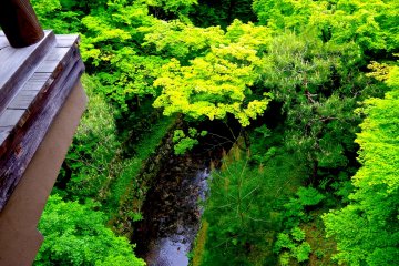 <p>Looking down from the covered bridge</p>